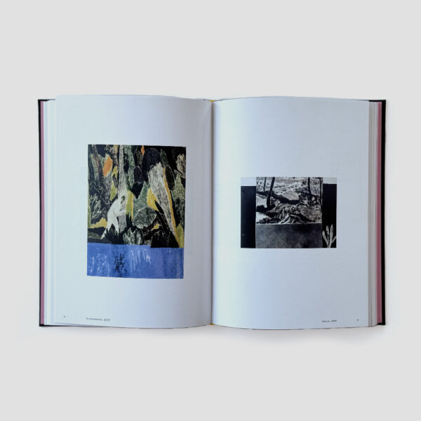 Introduzione all'opera di Andrea Barzaghi - immagine 2